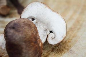 shiitake mushrooms on a wooden cutting board photo
