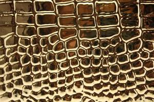 textura de piel de cocodrilo metálico con fondo foto