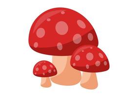 Three red mushrooms isolated on white background. Vector illustration of red mushroom