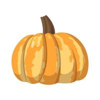 Realistic big orange pumpkin on white background - Vector