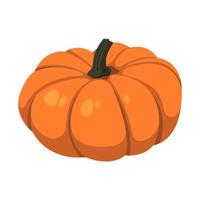 Realistic big orange pumpkin on white background - Vector