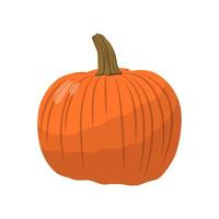 Realistic big orange pumpkin on white background - Vector