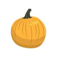 Realistic big orange pumpkin on white background - Vector