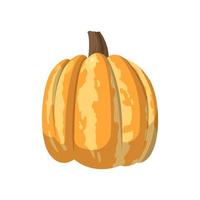 Realistic big orange pumpkin on white background - Vector