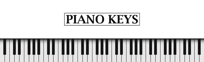 fondo blanco realista teclas de piano en blanco y negro - vector