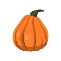 Realistic big orange pumpkin on white background - Vector