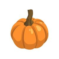 Realistic big orange pumpkin on white background - Vector