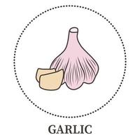 Abstract thin line garlic icon isolated on white background - Vector