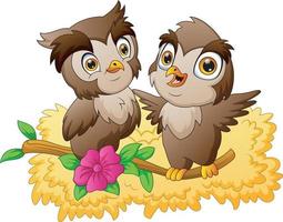 Owls in love sitting on a flowering tree branch vector