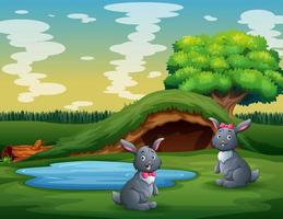 Cute two rabbits playing in the green land vector