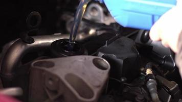 mecánico de automóviles vertiendo aceite en un motor.