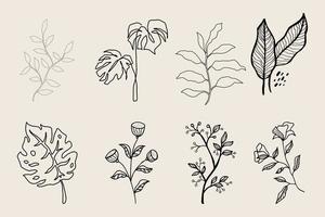 elementos florales de diseño vectorial dibujado a mano vector