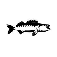 Walleye or Zander fish logo. Walleye fish fishing emblem for sport club. Walleye fishing background theme vector illustration.