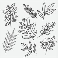 colección de diseño plano de dibujo de hoja floral simple. vector