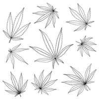 simplicity cannabis leaf freehand drawing flat design collection. vector