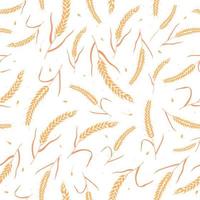 Seamless pattern with whole grain seeds organic, natural ears isolated on white background vector