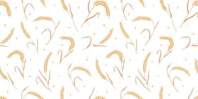 Seamless pattern with whole grain seeds organic, natural ears isolated on white background. vector