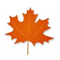 Orange shadow vector maple leaf isolated on white background