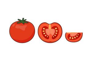 Set of fresh red ripe tomatoes isolated on a white background vector