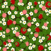 Blooming ripe strawberry, flowers and leaves. Vector seamless pattern