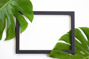Black picture frame with part of fresh green jungle monster leaves on white background with copy space in summer composition concept photo