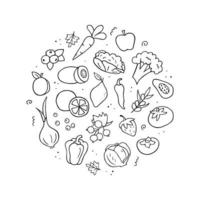 Hand drawn set of vitamin C sources. Vegetables, fruits, berries. Doodle sketch style. Vector outline illustration for banner, website, background and more.