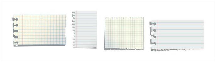 notebook papers vector