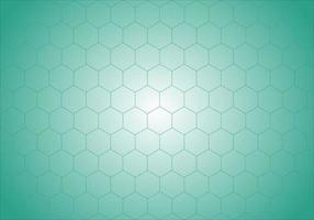 abstract hexagon background vector