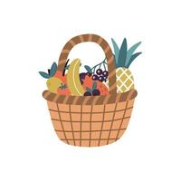 Wicker basket with fresh tropical fruits and berries isolated on a white background. Vector cartoon illustration for banner, tag, magazine, website in flat style