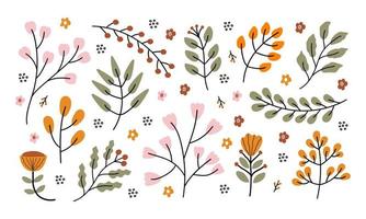 Vector hand drawn set of branches with flowers, leaves and berries isolated on white background. Colorful trendy design