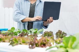Hand of Asian man use laptop record report of quantity green vegetable in greenhouse hydroponic system, photo