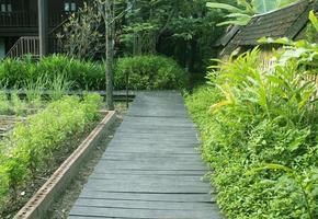 Boardwalks and tree leaves. photo