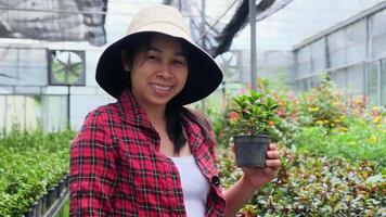 Gardener woman holding small plant pot and looking at camera in greenhouse. Happy Asian woman caring for plants prepared for sale. video