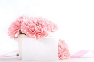 hermosos claveles tiernos de color rosa bebé florecientes en un jarrón blanco aislado en un fondo brillante, el día de las madres saluda a mamá ideas concepto fotografía, primer plano, espacio de copia, maqueta foto