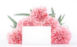 vista superior de la elegancia floreciente claveles tiernos de color rosa dulce aislados en fondo blanco brillante con tarjeta, concepto de diseño de saludo de mamá del día de la madre de mayo, primer plano, espacio de copia foto