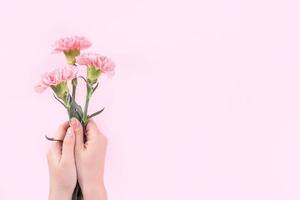 Woman giving bunch of elegance blooming baby pink color tender carnations isolated on bright pink background, mothers day decor design concept, top view, close up, copy space photo