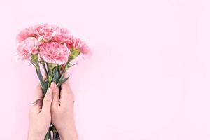 Woman giving bunch of elegance blooming baby pink color tender carnations isolated on bright pink background, mothers day decor design concept, top view, close up, copy space