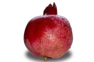 red pomegranate fruit covered with dew drops photo