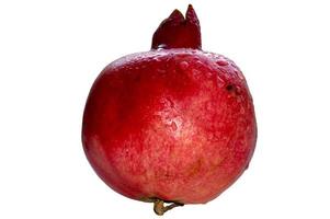 red pomegranate fruit covered with dew drops photo