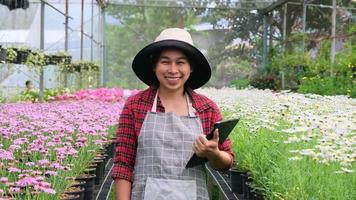 mulher bonita jardineira usa um tablet enquanto trabalha em uma estufa. mulher asiática feliz cuidando de plantas preparadas para venda. video