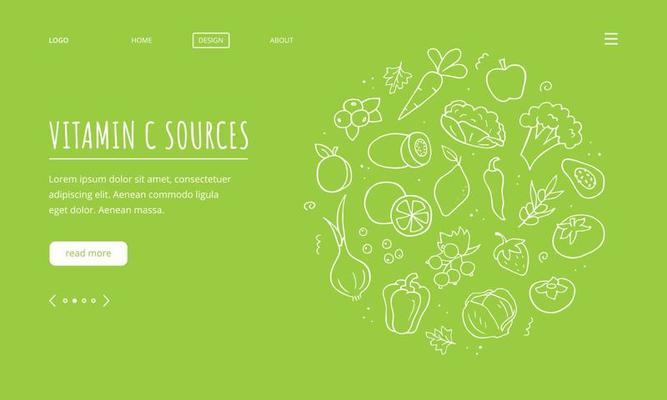 Vitamin C sources landing page template. Set of vegetables, fruits, berries. Hand drawn outline vector illustration. Doodle sketch style on a green background.