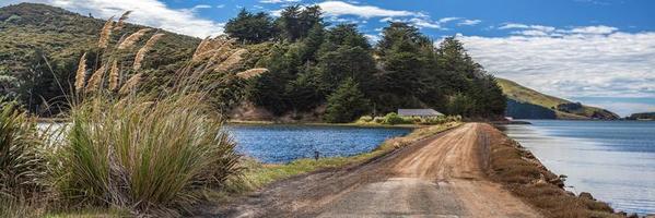 The Otago Peninsula New Zealand photo