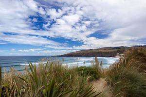View of Sandfly Bay in the South Island of New Zealand photo