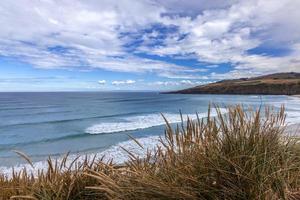 View of Sandfly Bay in the South Island of New Zealand photo