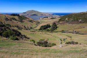 Scenic view of the  countryside in the Otago Peninsula photo