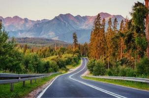 el camino conduce a través del bosque a las montañas foto