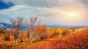 rock massif in the Carpathians. photo