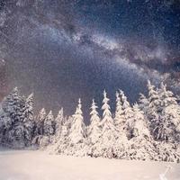 magic tree in starry winter night. Vintage effect