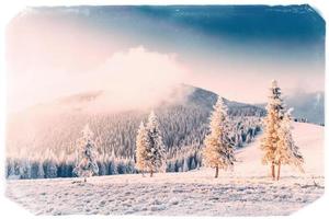 Winter landscape with snow in mountains Carpathians, Ukraine.Vin photo