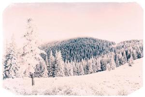 paisaje invernal con nieve en las montañas de los cárpatos, ucrania.vin foto